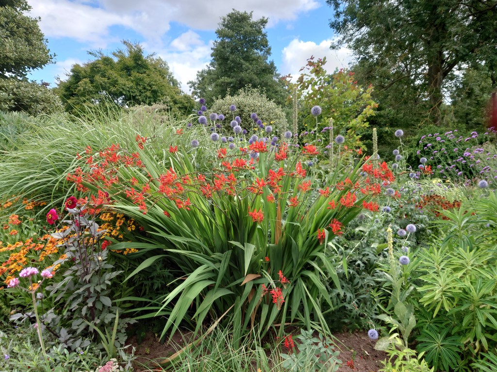 Garden open for NGS